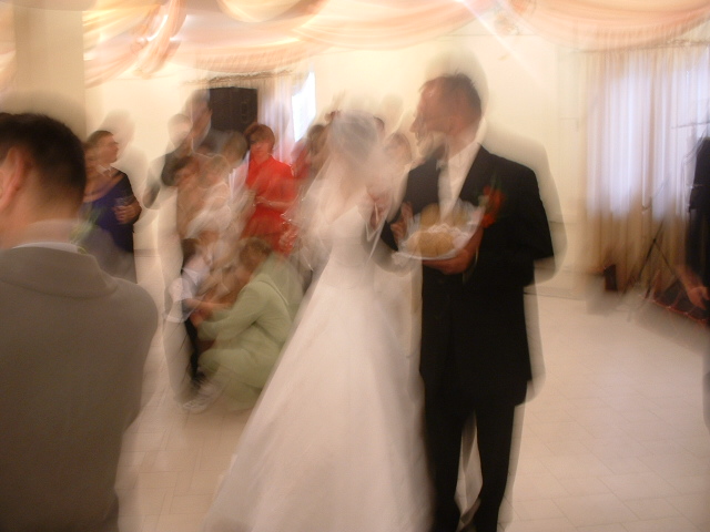 Oj, wielblad, czyli wielki blad!!!